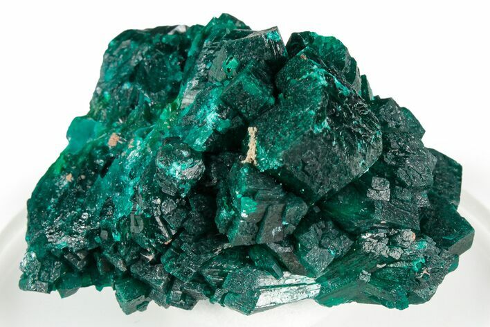 Gemmy Dioptase Crystal Cluster - Congo #346122